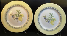 Royal Doulton Carmina Dinner Plates 11" TC 1277 Lemons set of 2 Excellent