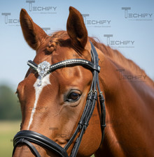 Crystal Teardrop Horse Browband Black Leather Bling Rhinestone Bridle Tack