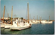 Tangier Island VA Fishing Fleet Harbor Boats Watermen Chesapeake Postcard L594