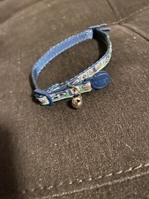 Breakaway Collar Kitten