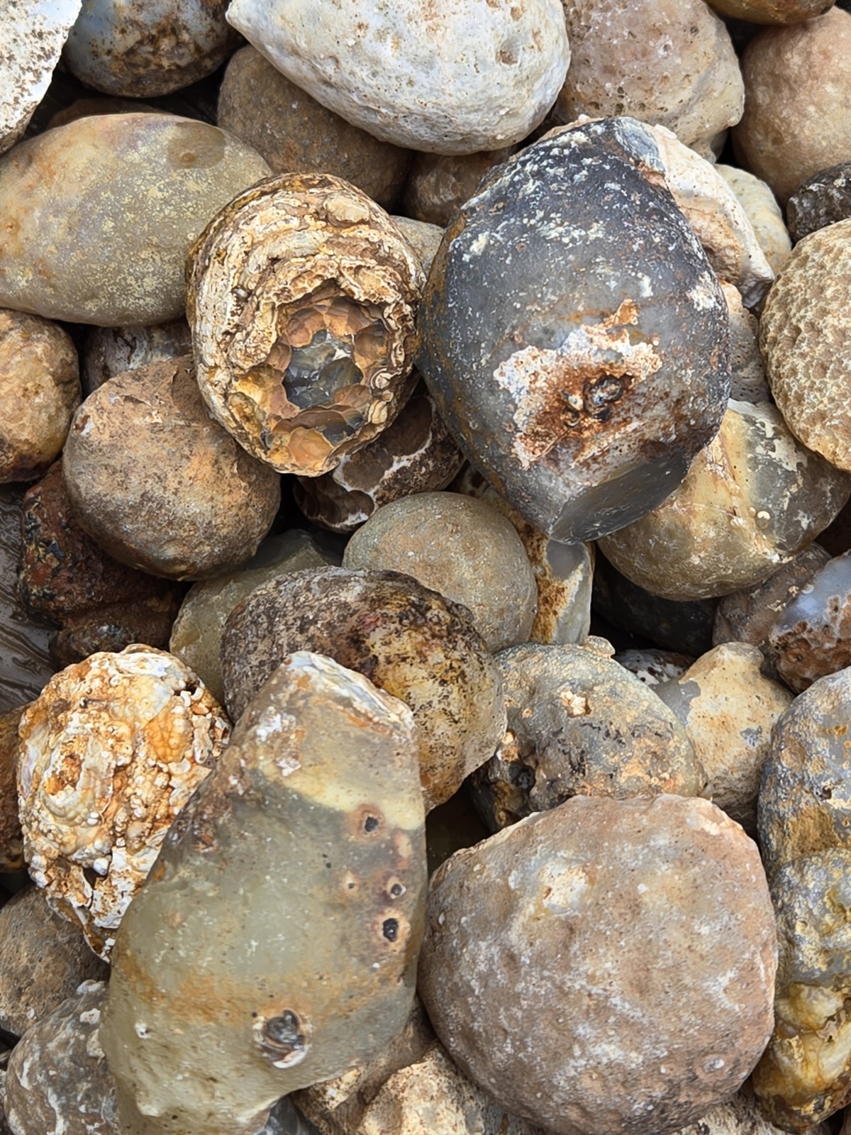 Oco Agate Geodes Whole - Mine Run Rough - 1 Pound Lb - Mostly Solid Agate