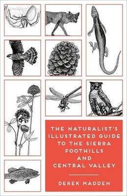 Derek Madden Ke The Naturalist's Illustrated Guide to the Sierra Foo (Paperback)