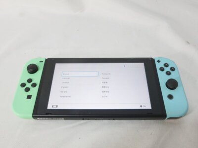 Nintendo Switch Animal Crossing Horizons Edition Console From