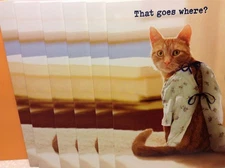 GET WELL AVANTI CARDS New w/envelopes LOT 6 "FEEL BETTER SOON" AWESOME PRICE