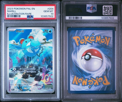 Pokemon Marill #204 PSA 10 Paldea Evolved Illustration Rare