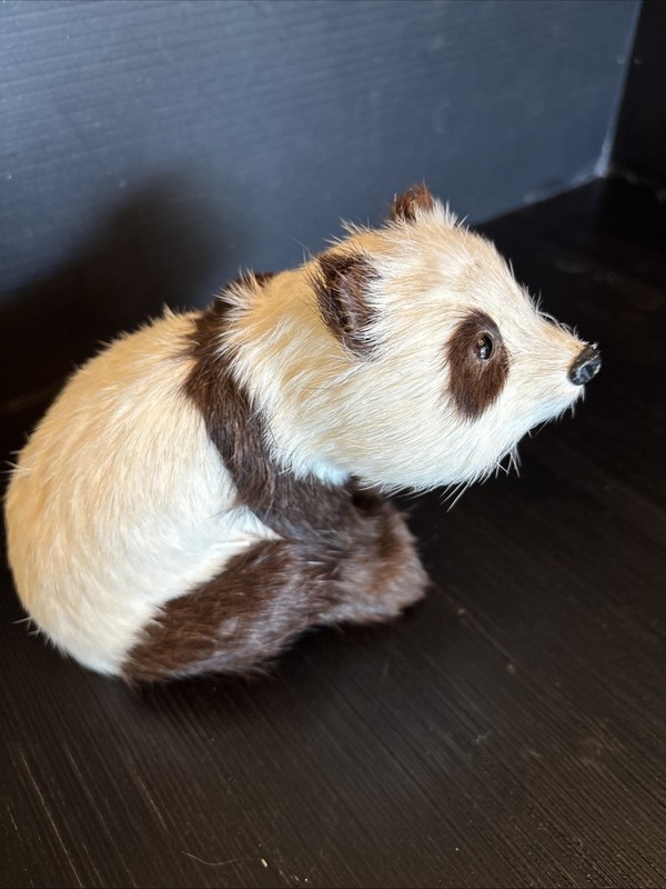 28) Vintage Artisan Panda Bear Realistic Figurine Real Fur Glass Eyes 6"