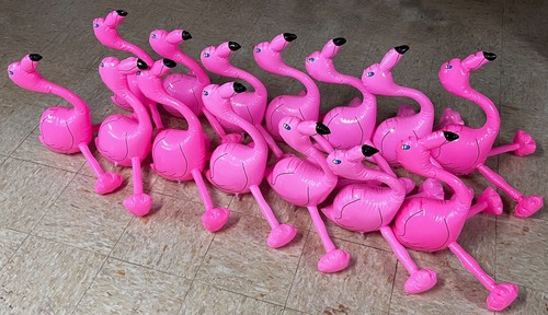 Flock of 14 Inflatable Pink Flamingos - For Parties - Fund Raisers or Poolside