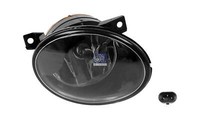 Nebelscheinwerfer Rechts Mit GlüHlampe Dt Spare Parts 4.67959 12 V HB4
