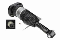 Luftfederbein StossdÄMpfer Hinten Links FÜR BMW 5 Touring (G31) - AIC 77291