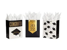 Hallmark 13" Large Graduation Gift Bags Assortment 