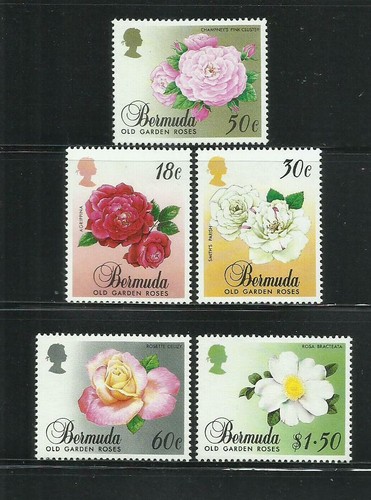 BERMUDA. Año: 1989. Tema: FLORA. FLORES. ROSAS. - 第 1/1 張圖片
