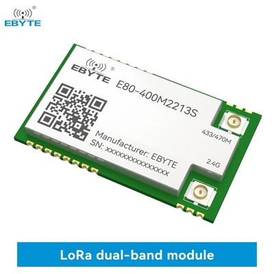 LR1121 LoRa Wireless Dual-Band Module Sub-G 433/868/915/2.4G E80-900M2213S IPEX