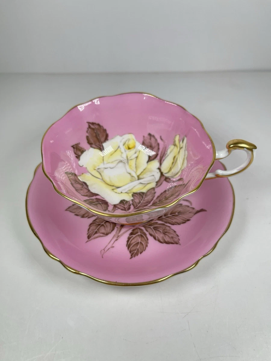 パラゴン PARAGON MAJESTY THE QUEEN ピンクローズ Paragon Elizabeth Rose for sale | eBay