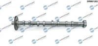 DRM01282 Dr.Motor Automotive Nockenwelle FüR Audi,Seat,Skoda,Vw