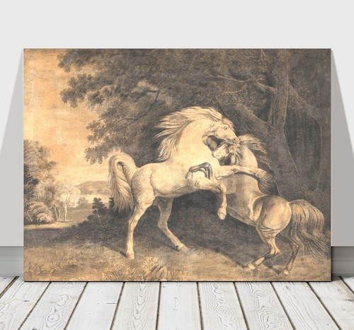 GEORGE STUBBS - Horses Fighting B&W - CANVAS ART PRINT POSTER - 24x16"