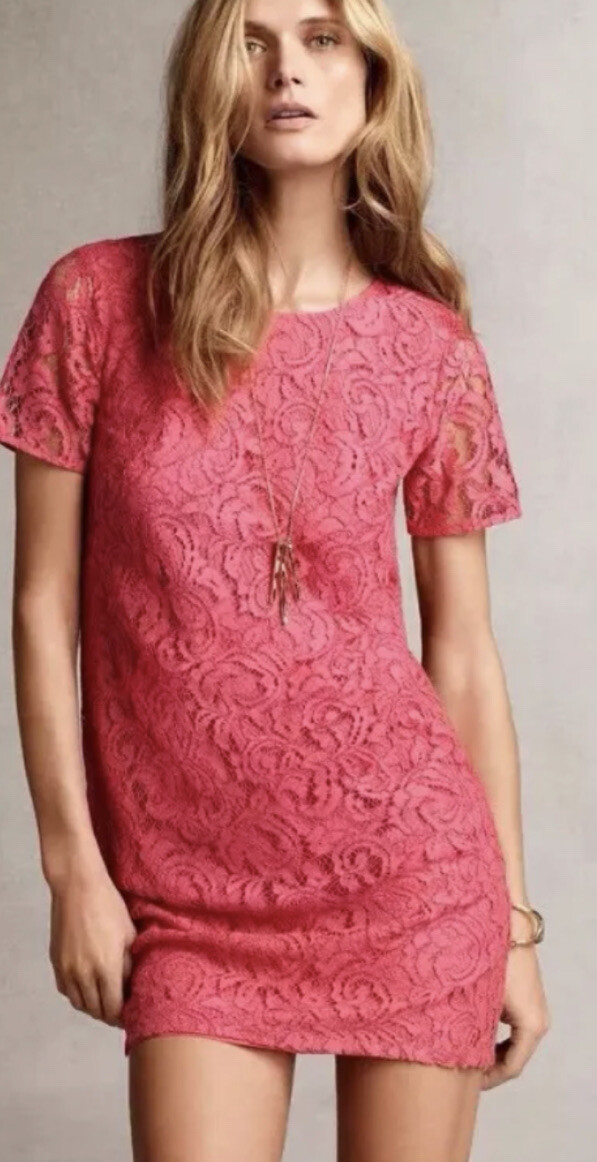 Ann Taylor Desert Rose Pink Floral Lace Short Sleeve Sheath Dress Sz 8