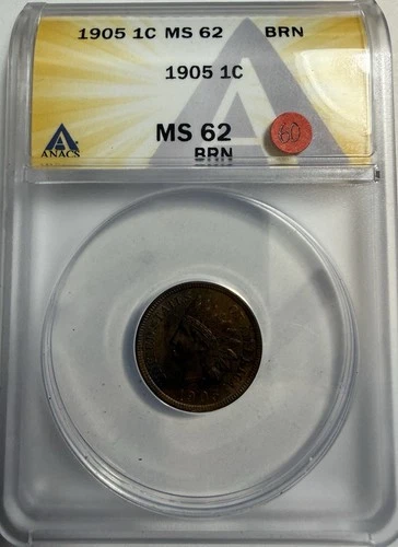 1905 Indian Head Cent - ANACS MS 62 - Freshly Graded / New Holder (795)