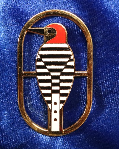CHARLEY HARPER RARE Red Bellied Woodpecker Brooch/Pin