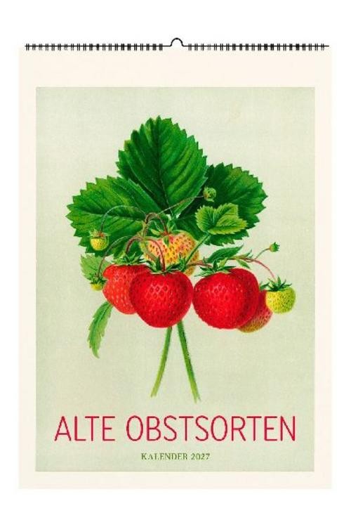 Alte Obstsorten. Wandkalender 2027 | Mit 13 historischen Abbildungen | Kalender - Bild 2