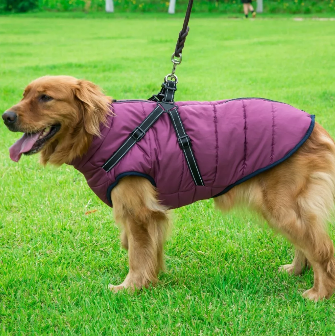 Dog Winter Clothes Jacket Coat with Harness Warm Waterproof Puppy Dog