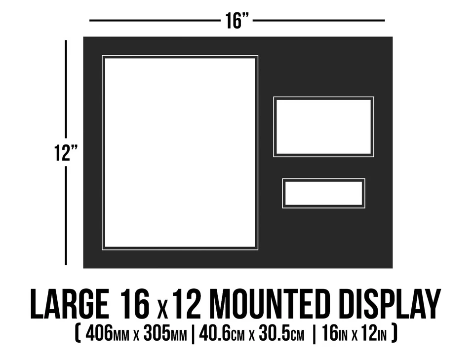 Roger Federer Firmado a Mano 16x12 Montaje Exhibición Wimbledon Tenis Autógrafo con Certificado de Autenticidad Foto 3 de 4