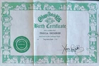 Vintage Cabbage Patch Kids Birth Certificate Girl ~ Tricia Desiree~ Coleco 1980s