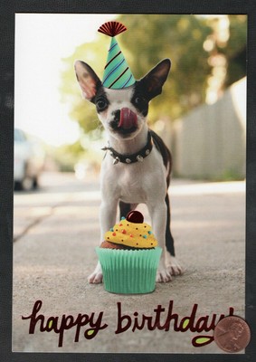 Birthday Dog Super Sized Cupcake Frosting Party Hat - RED SHINE - Greeting Card 