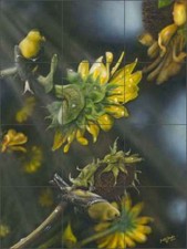 Tile Mural Backsplash Ceramic Sparks Birds Wildlife Art JSA029