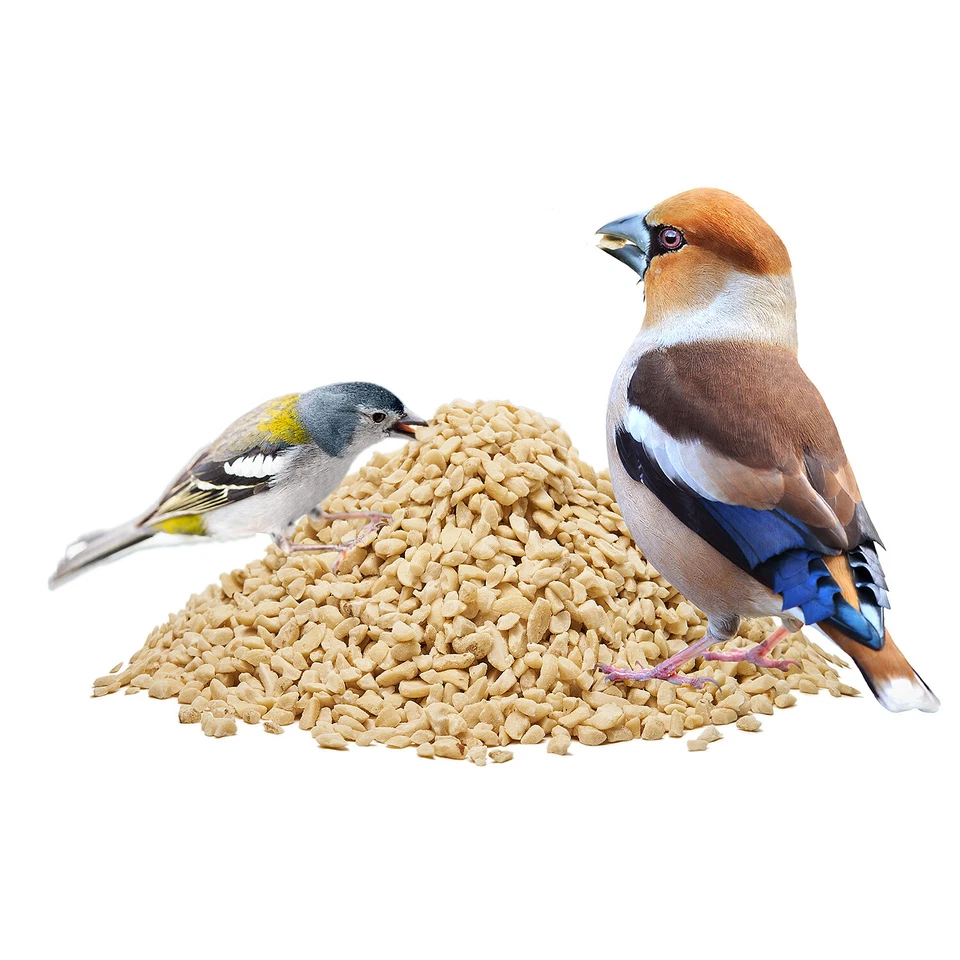 Erdnüsse geviertelt gehackt NEUE ERNTE 2025 Premiumware von Paul's Mühle - Bild 3 von 4