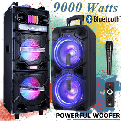 Double 10 Inch DJ System Karaoke Party Trolley Subwoofer Speaker With Display Screen And Two Mic