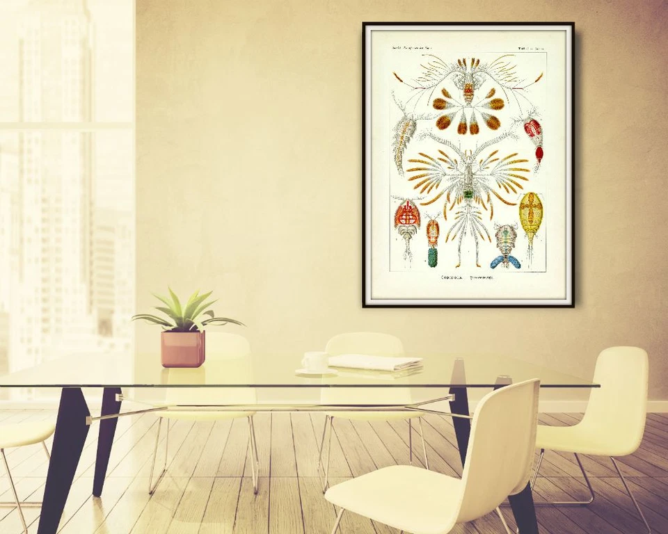 Sea Life Aquatic Crustaceans Ernst Haeckel's formas de arte de la naturaleza ilustración Foto 4 de 4