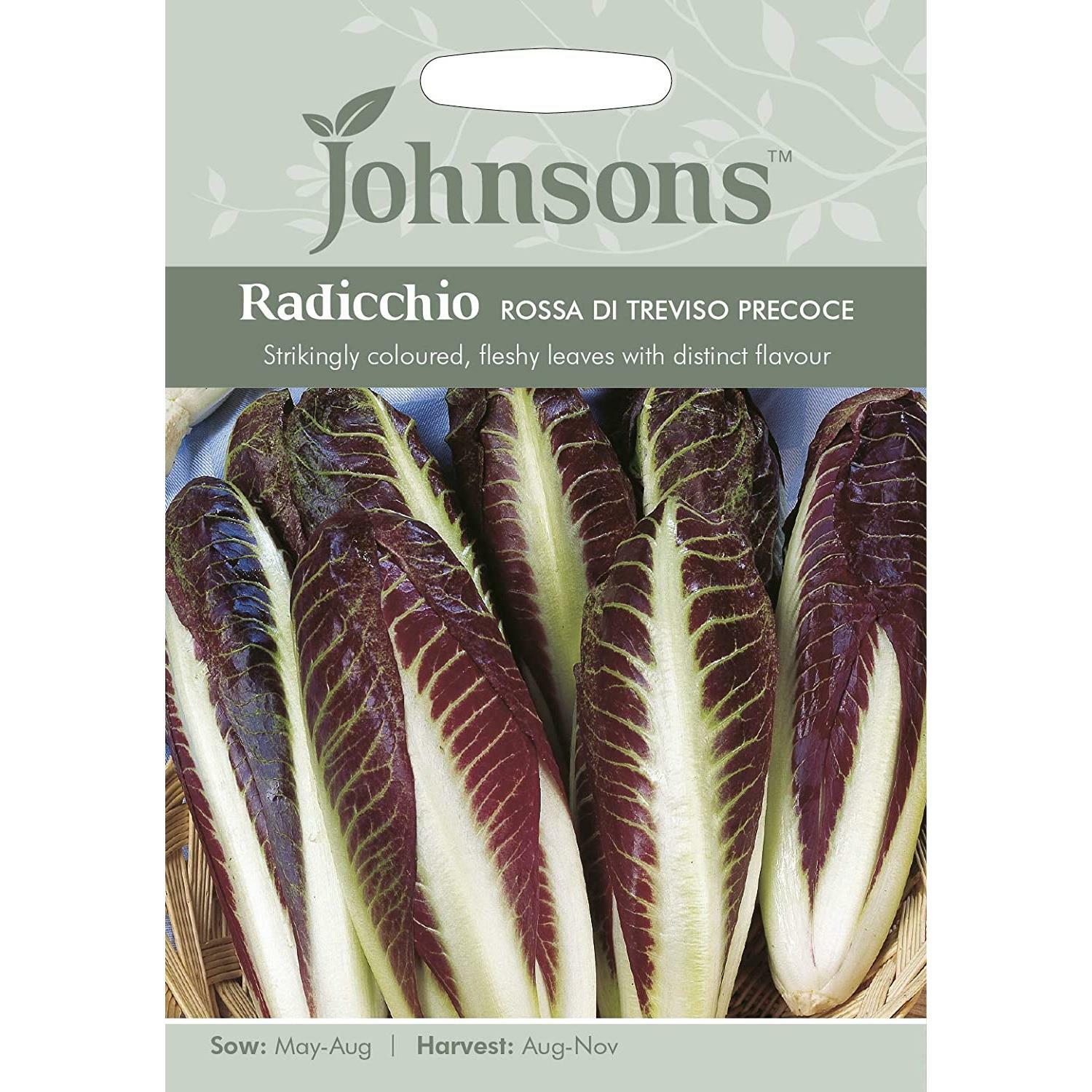 Johnsons Radicchio Seeds Rossa Di Treviso Precoce Deep Red Tasty Salad Leaves