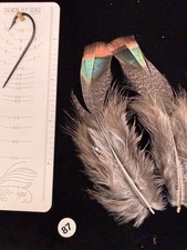 Ocellated Turkey Tail/Tail Covert Feathers 87