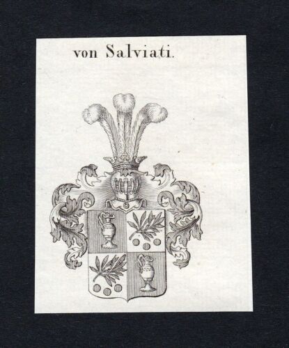 env. 1820 armoiries Salviati Adel armoiries gravure sur cuivre imprimé antique héraldique - Photo 1/1