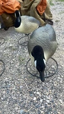 waterfowl hunting decoys