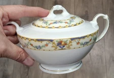 Vitg Gebruder Benedikt Czech-Slovakia Floral & Fruit Porcelain Lidded Sugar Bowl