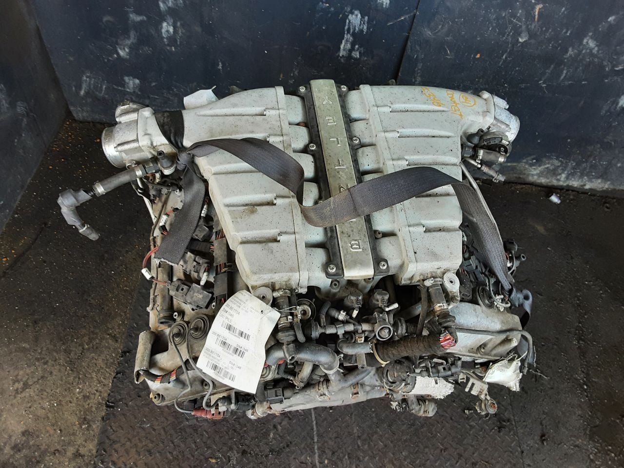 BENTLEY CONTINENTAL GT   2004 Engine 596889