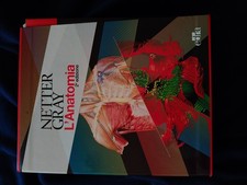 Cofanetto NETTER-GRAY Anatomia Umana