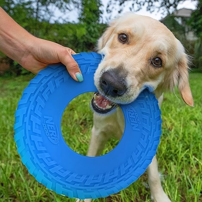 Nerf Dog Rubber Tire Flyer Dog Toy Frisbee Lightweight Durable, Blue
