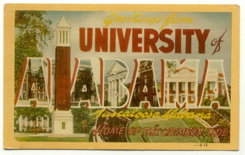university of alabama crimson tide greetings linen postcard