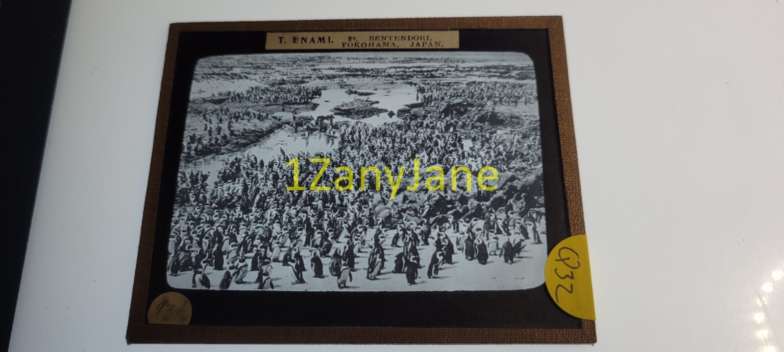 Q32 HISTORIC Glass Magic Lantern Slide World Cruise 93 1/2 T ENAMI GROUP PENGUIN