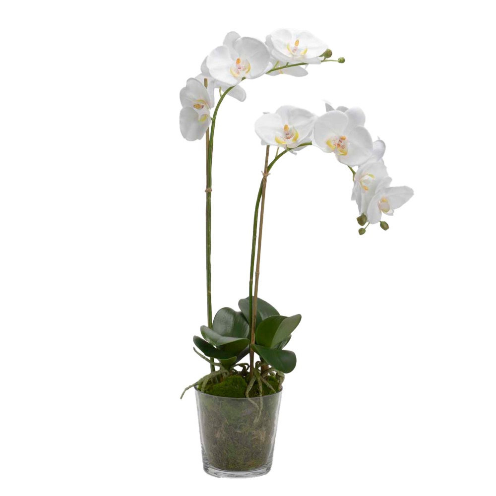 Orchidée Phalae Diva H71 cm blanche plastique grande plante artificielle fleur