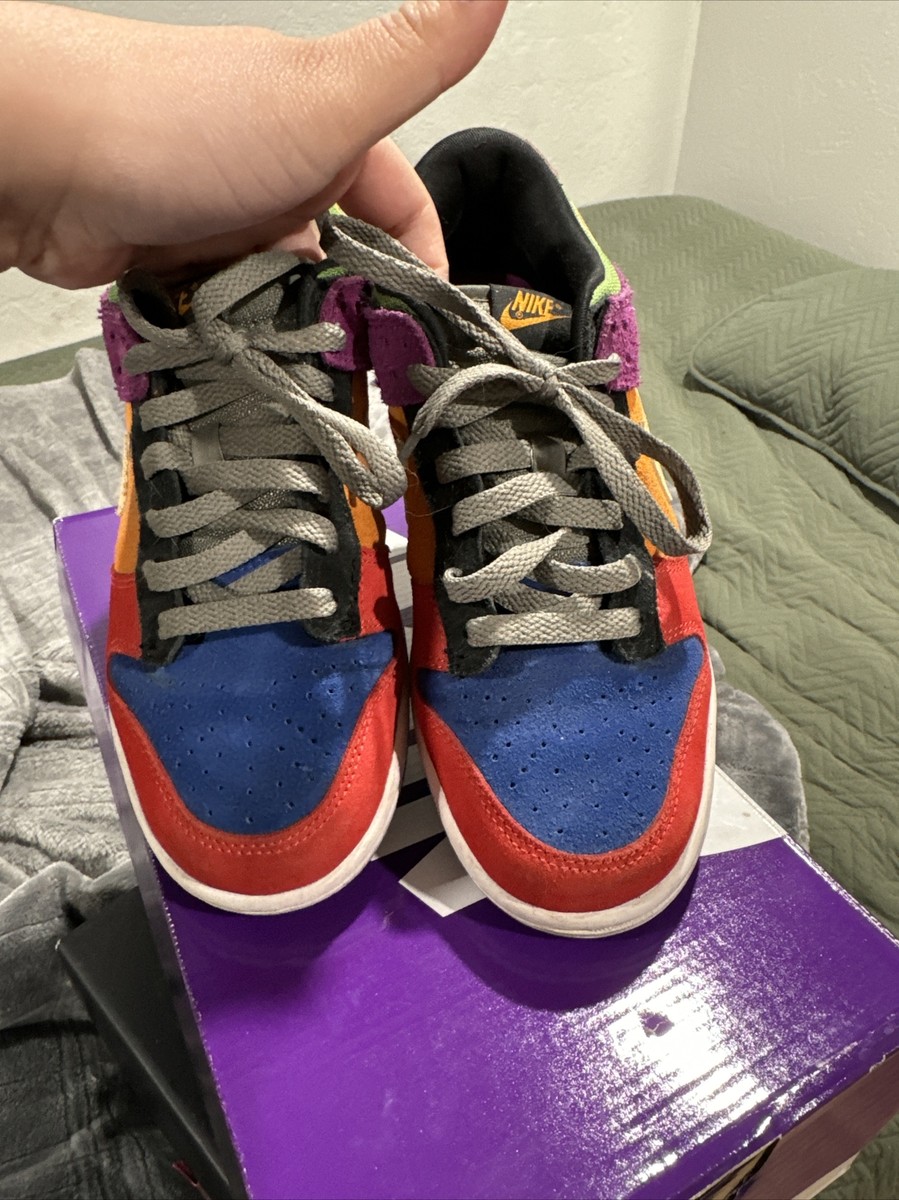 Nike Dunk Low SP Retro Viotech 2019 Sz 5.5 Multicolor | eBay