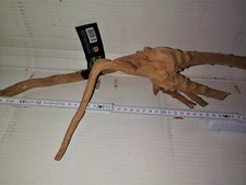 RACINE ARAIGNEE - SPIDER WOOD