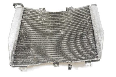 KÜHLER KAWASAKI NINJA 1000 ZX-10R 2004 - 2005 390610041 RADIATOR GEFALTET