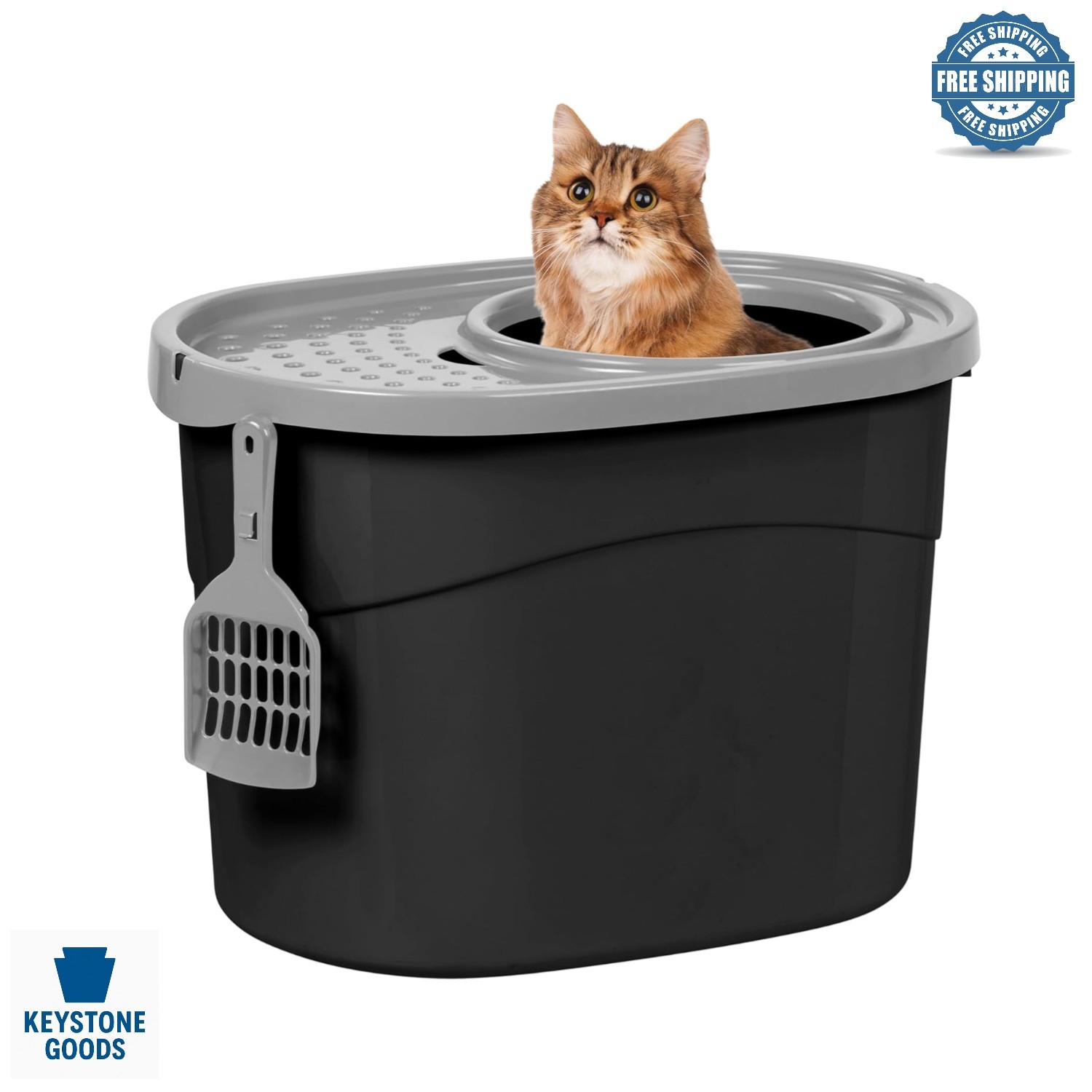 With Scoop & Lid - Dog & Spill Proof, Enclosed...