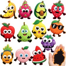 YUJUN 12PCS Cute Fruit and Animal Refrigerator Magnets for Kids