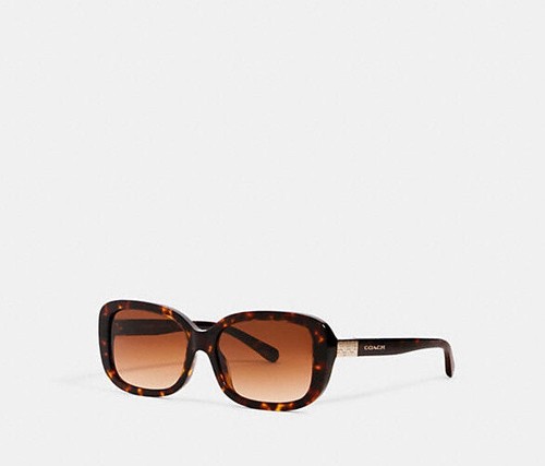 coach sunglasses tortoise