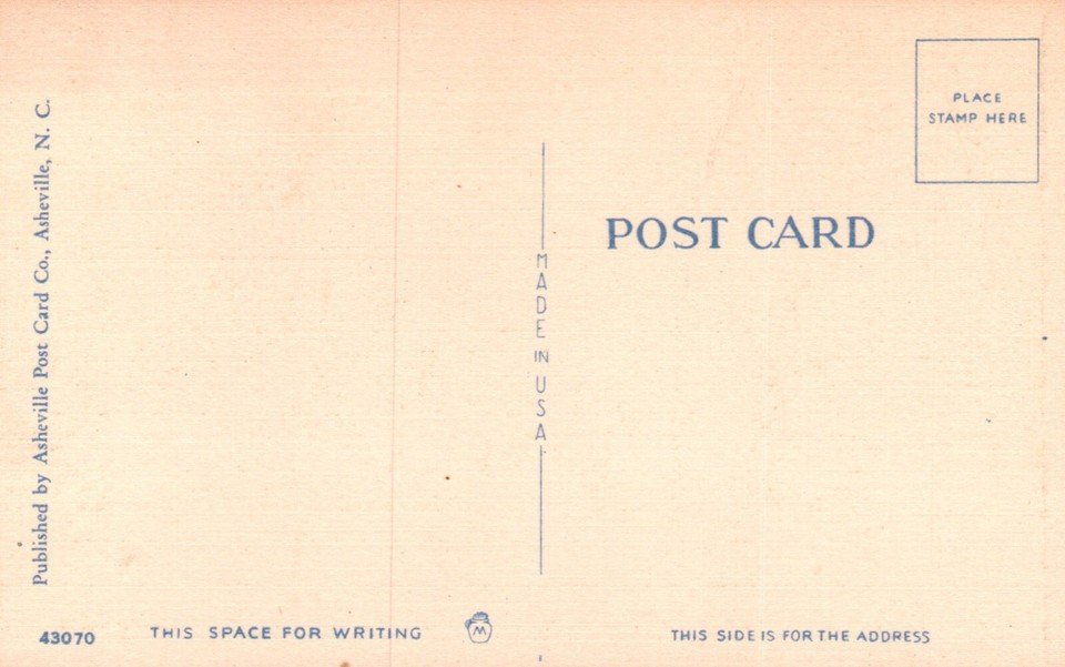 Postcard FL Banana Tree Bearing Fruit in Florida Linen Unposted Vintage