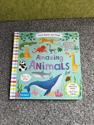 First Facts and Flaps Amazing Animals Silver Dolphin Book Educational Toddler